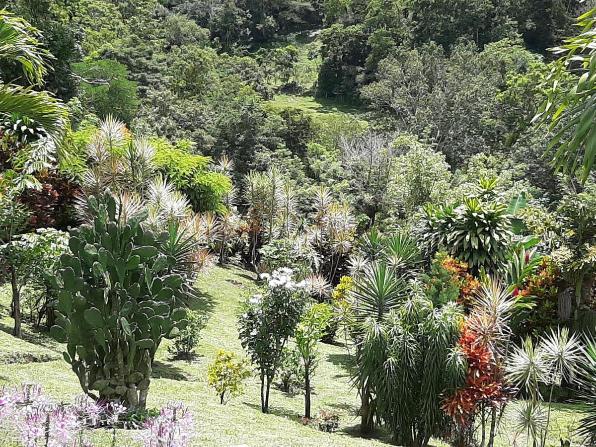 Marita'S Bed And Breakfast Nuevo Arenal Exterior foto