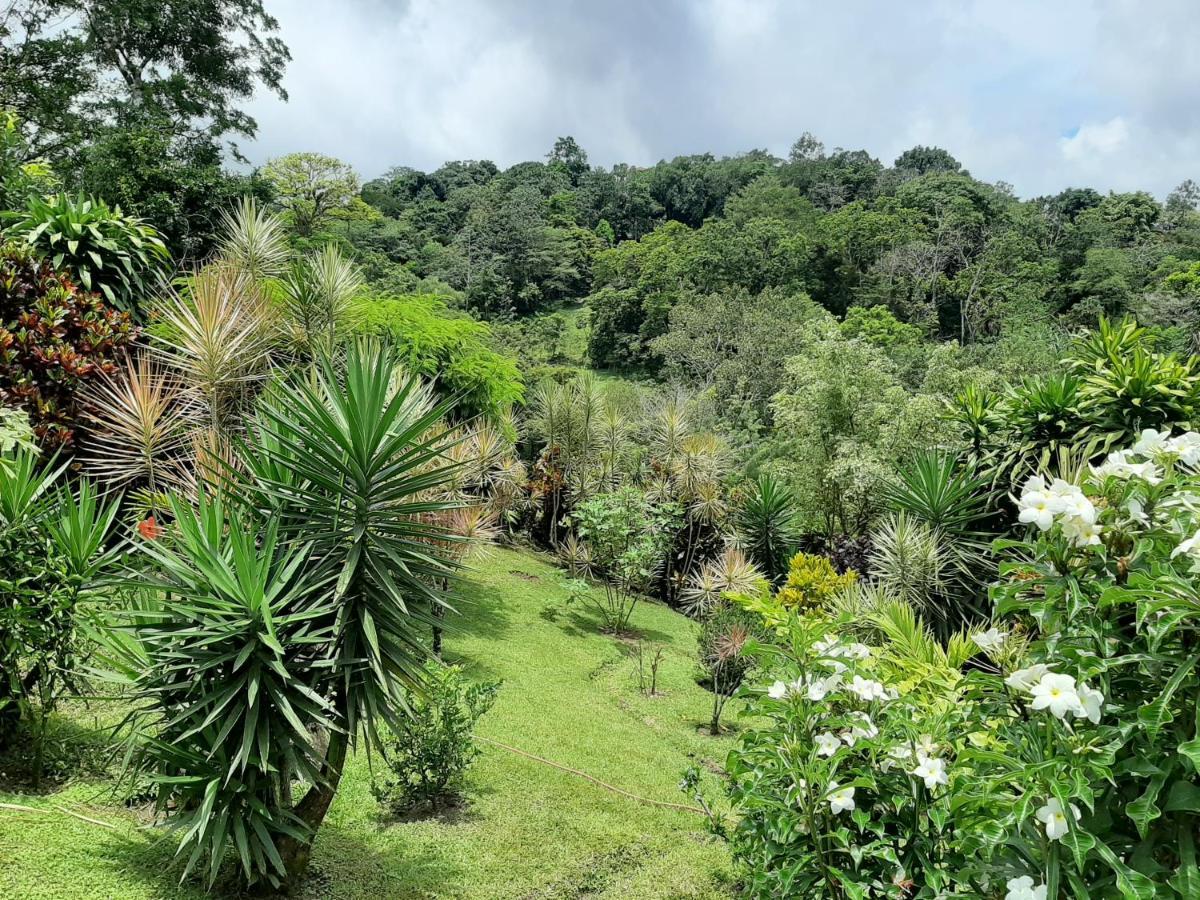 Marita'S Bed And Breakfast Nuevo Arenal Exterior foto